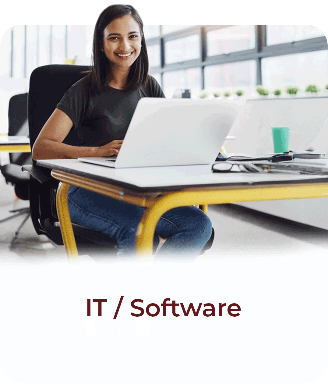 IT / Software
