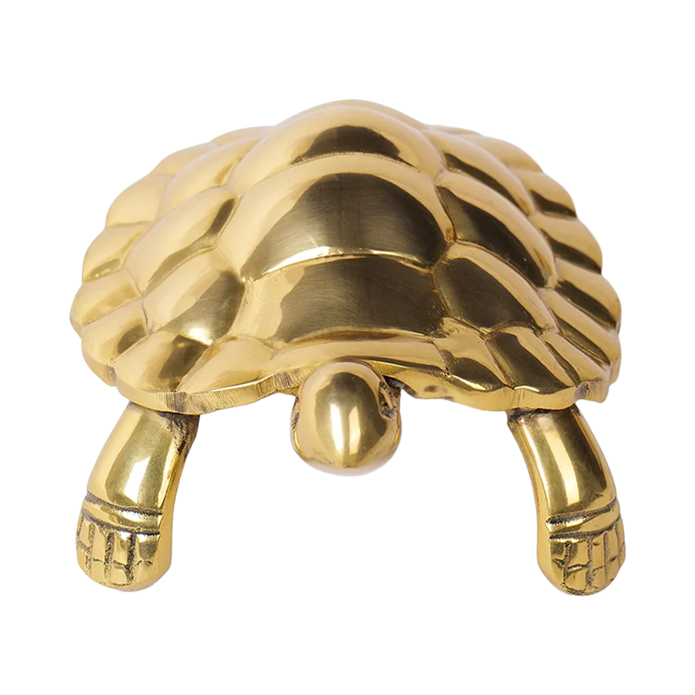 Tortoise - Unstoppable Victory through Patience and Perseverance