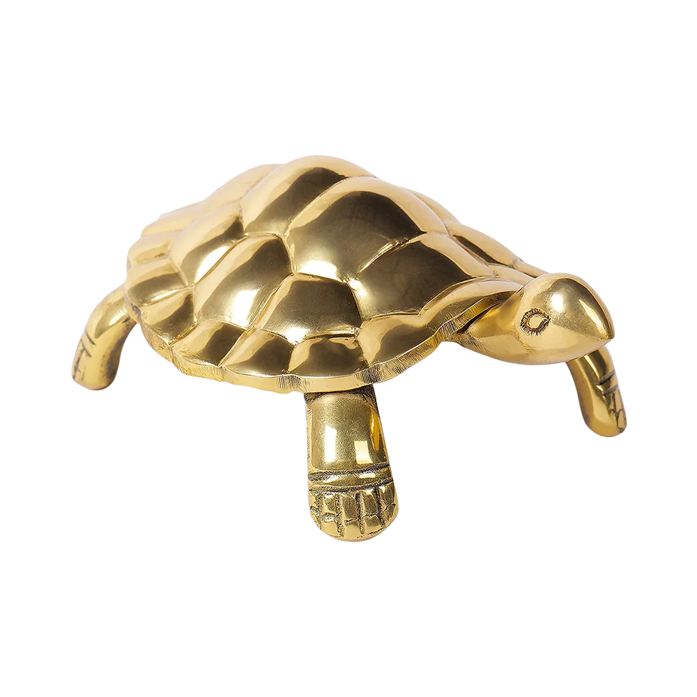 Tortoise - Unstoppable Victory through Patience and Perseverance