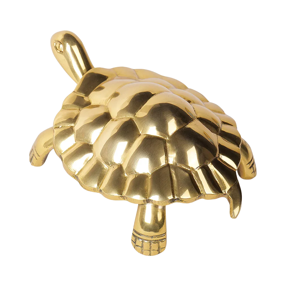 Tortoise - Unstoppable Victory through Patience and Perseverance