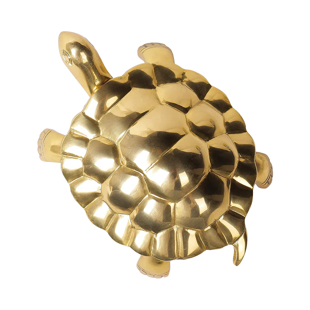 Tortoise - Unstoppable Victory through Patience and Perseverance