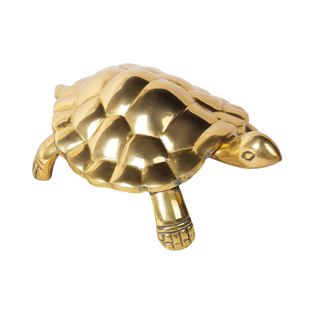 Tortoise - Unstoppable Victory through Patience and Perseverance
