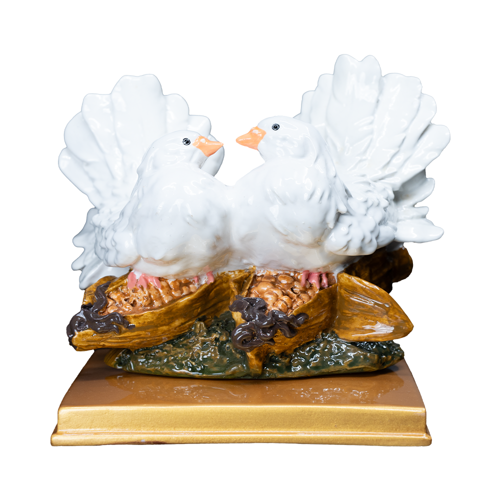 Love Birds/White Pigeons - Experience True Love