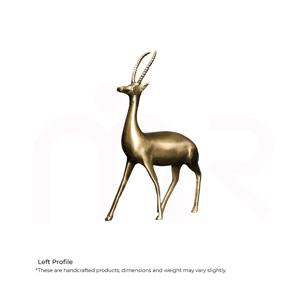 Deer Standing Pose - Overcome Depression