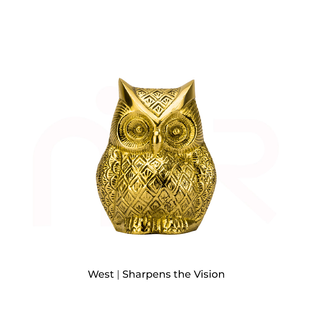 Owl - Sharpens the Vision