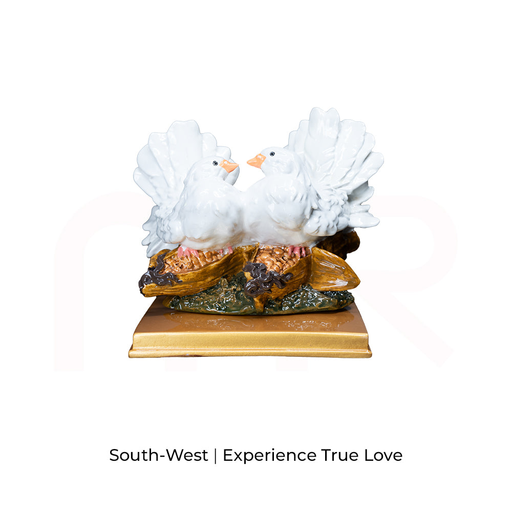 Love Birds/White Pigeons - Experience True Love