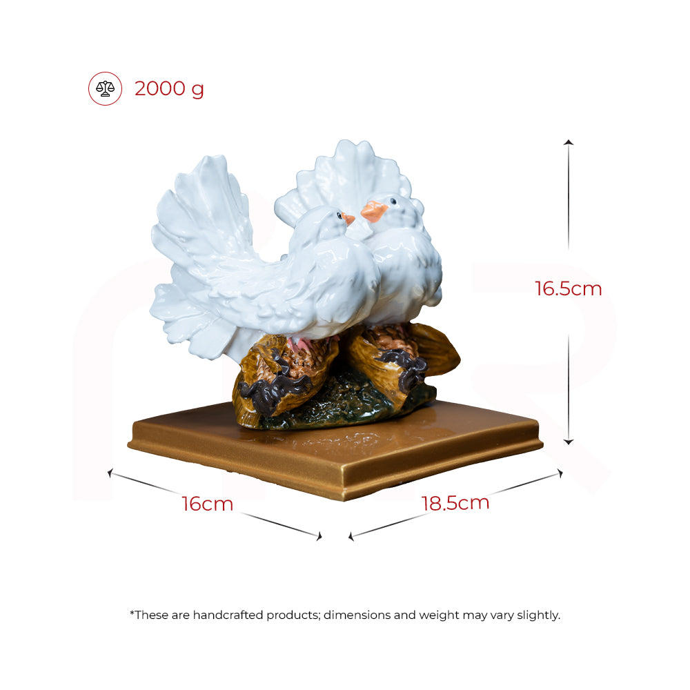 Love Birds/White Pigeons - Experience True Love