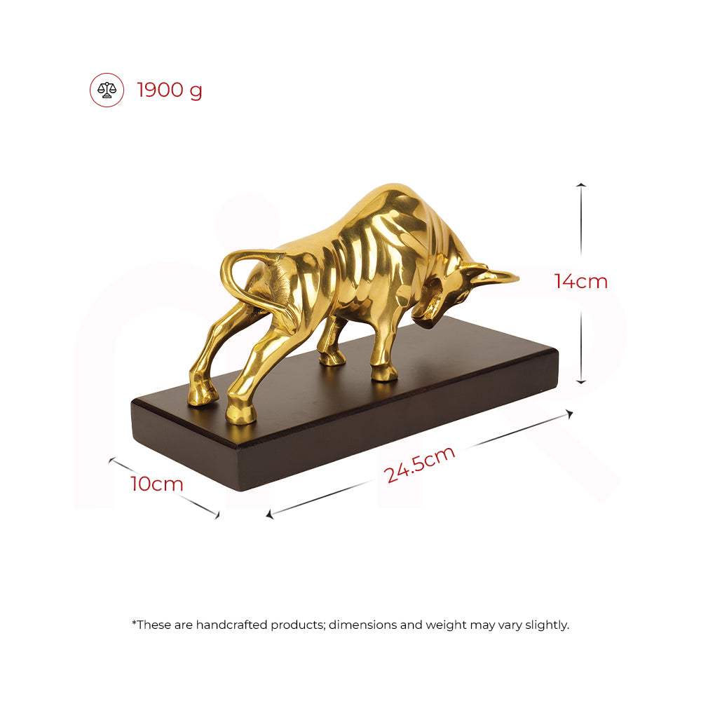 Charging Bull - Wealth Decisions