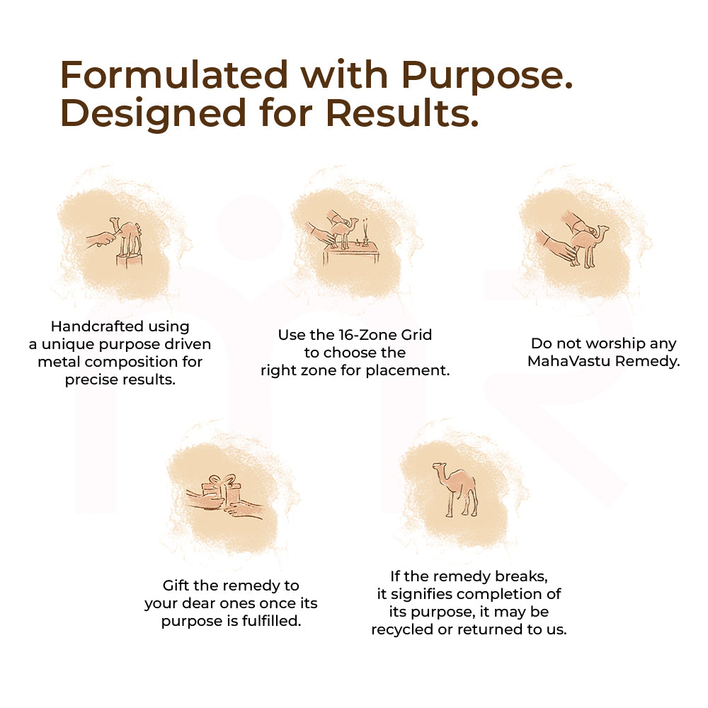 Camel - Multiply Profits & Gains