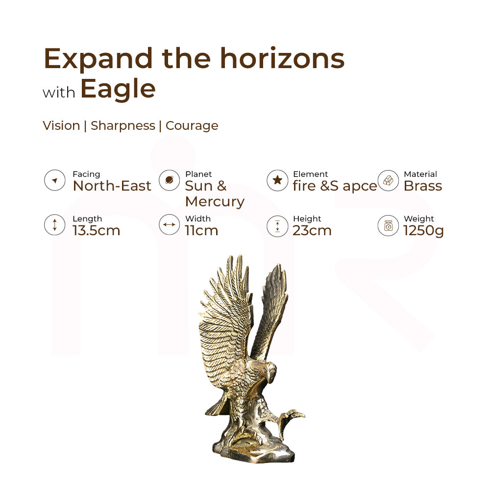 Eagle - Expand the horizons