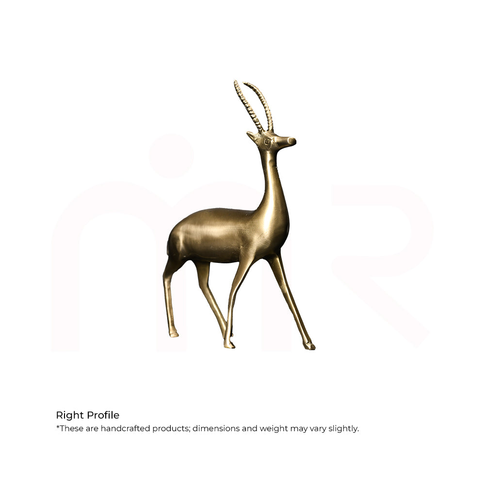 Deer Standing Pose - Overcome Depression