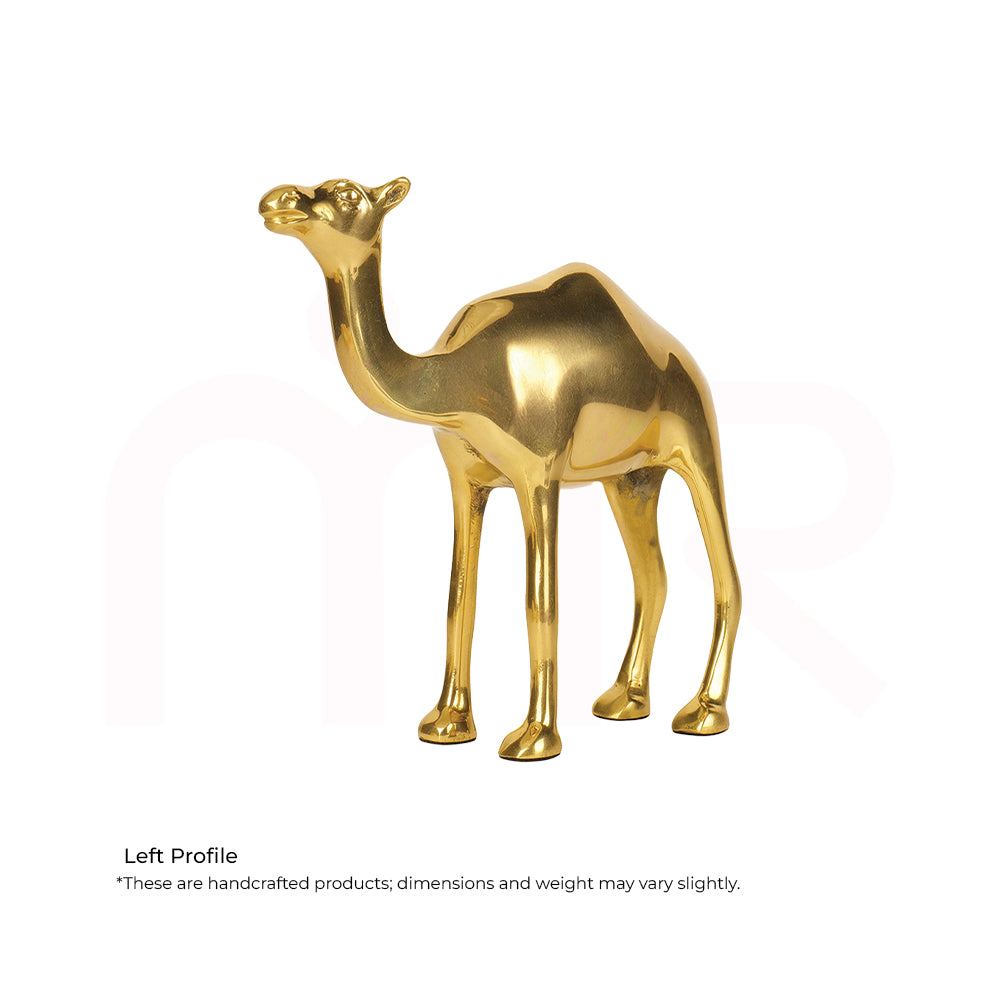 Camel - Multiply Profits & Gains