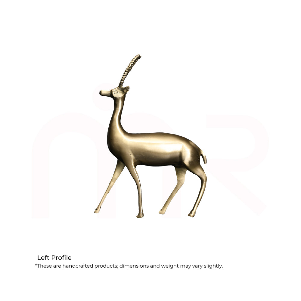 Deer Standing Pose - Overcome Depression