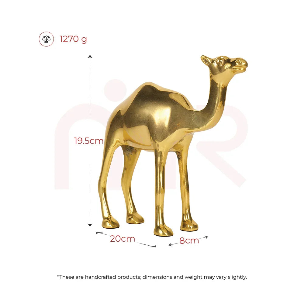 Camel - Multiply Profits & Gains
