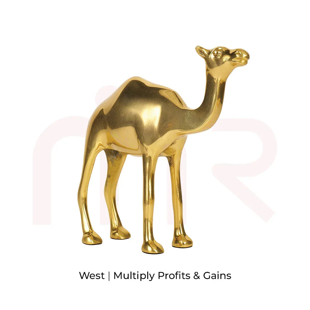 Camel - Multiply Profits & Gains