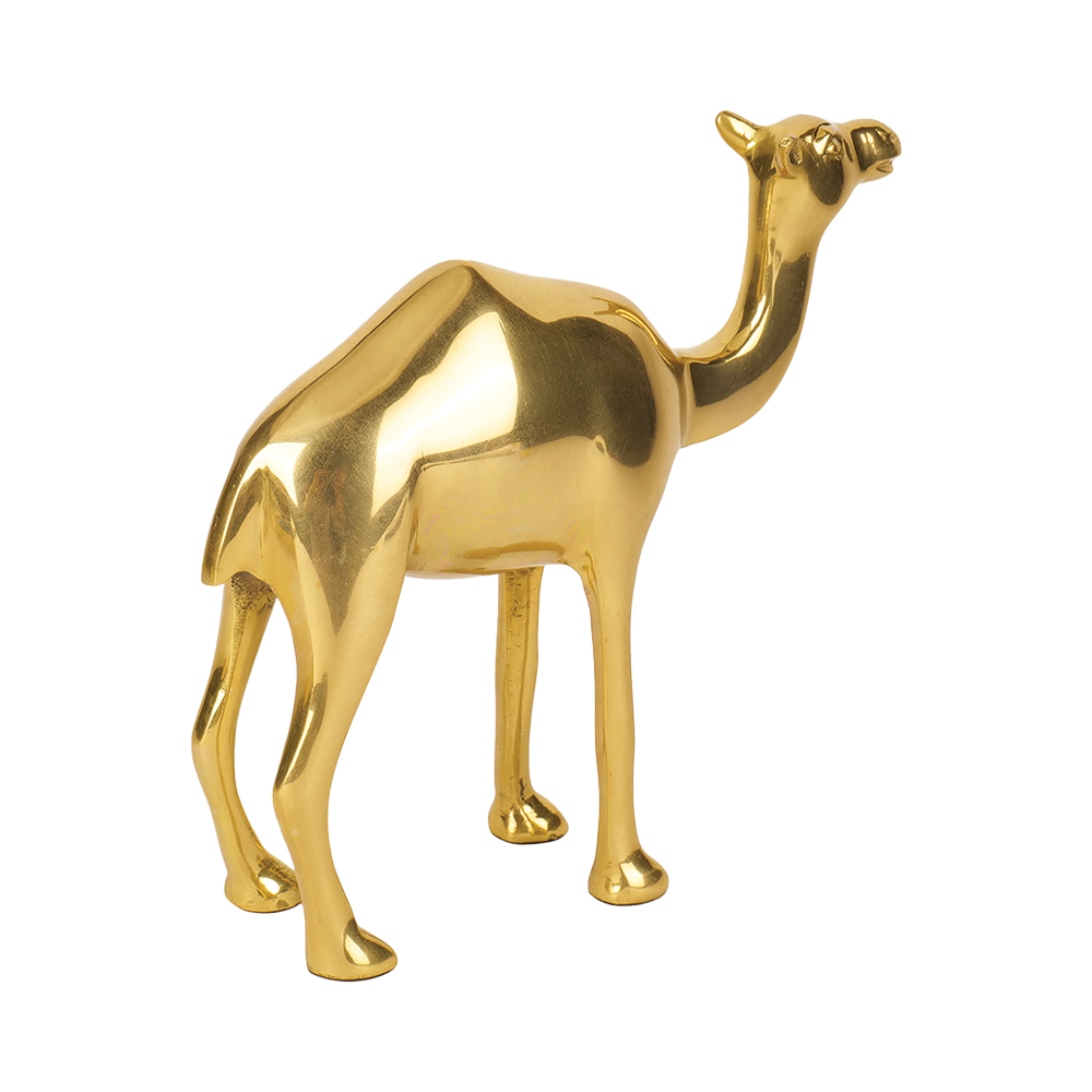 Camel - Multiply Profits & Gains