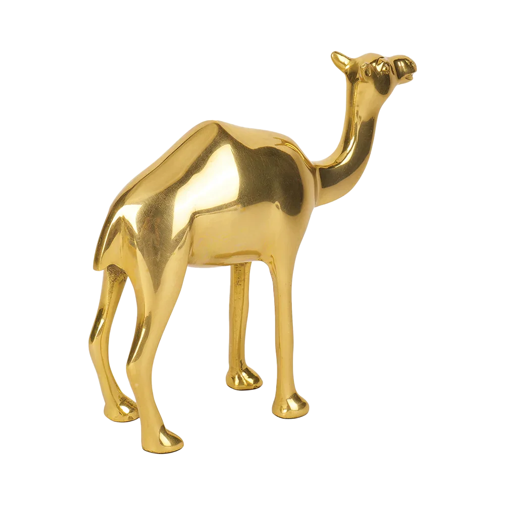 Camel - Multiply Profits & Gains