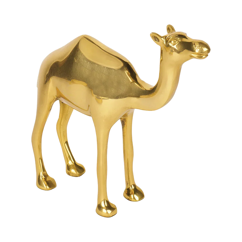Camel - Multiply Profits & Gains