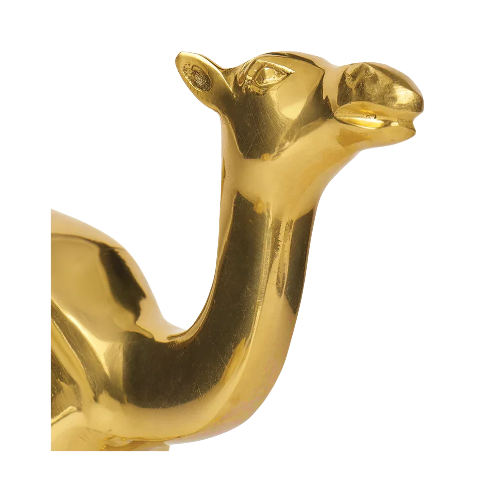 Camel - Multiply Profits & Gains