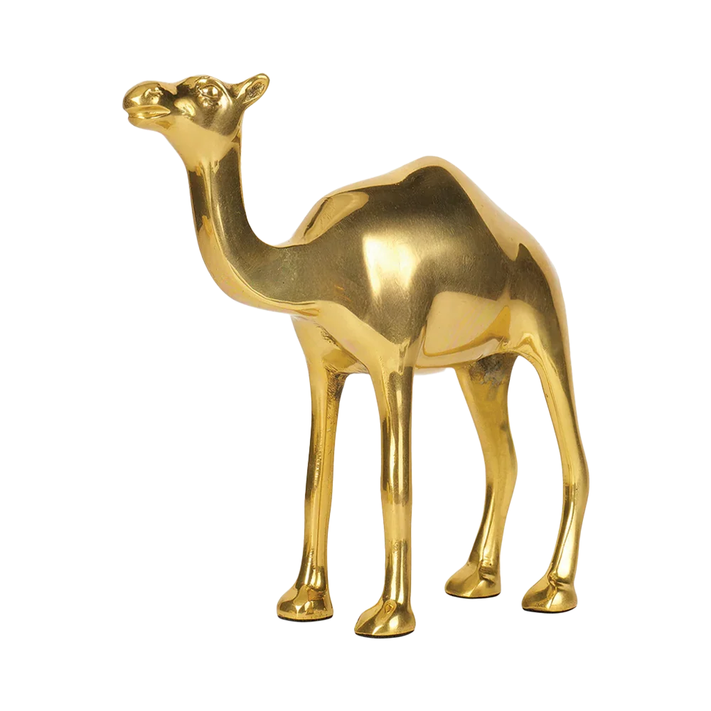 Camel - Multiply Profits & Gains