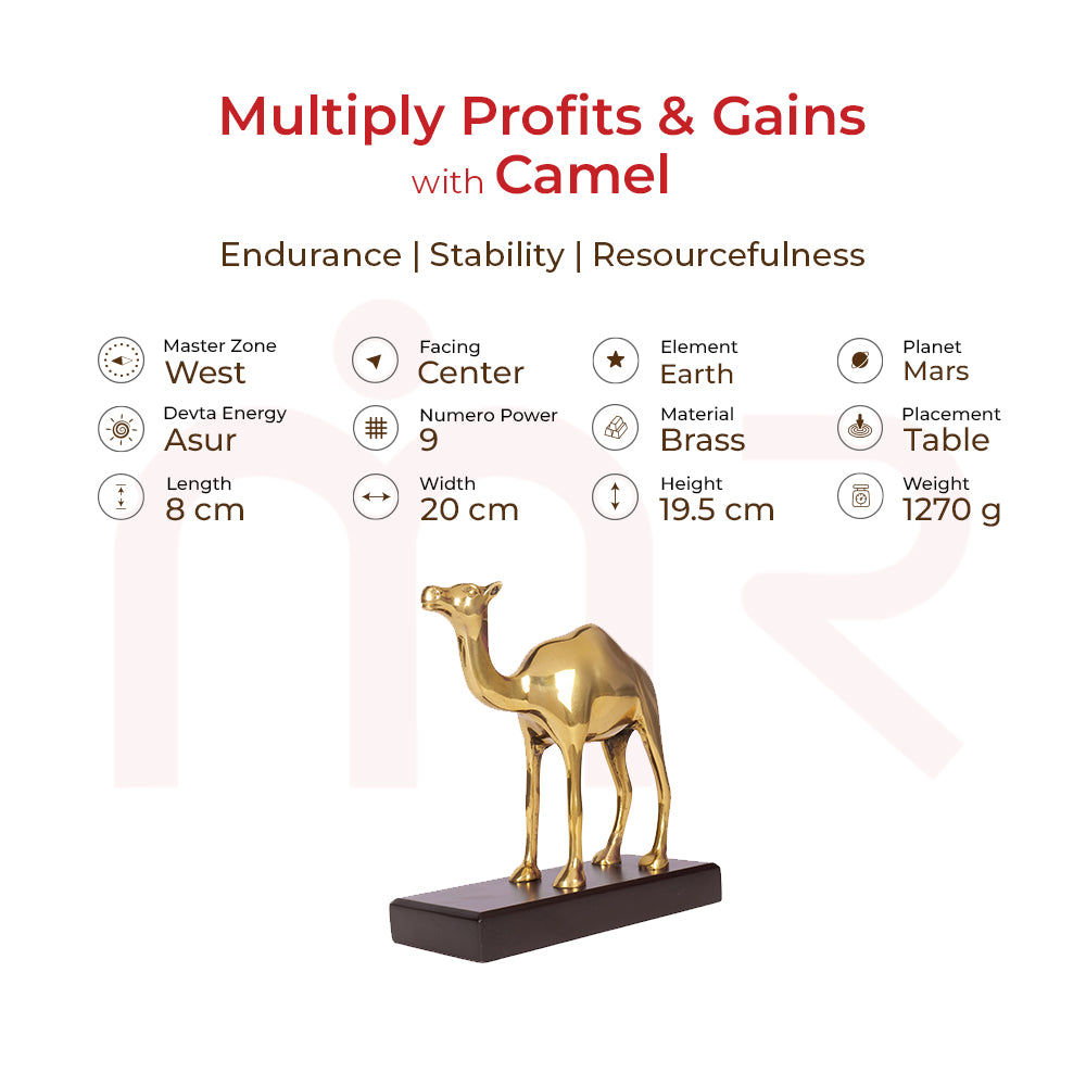 Brass camel figurine for Vastu remedies on table, enhances profits, endurance, stability.