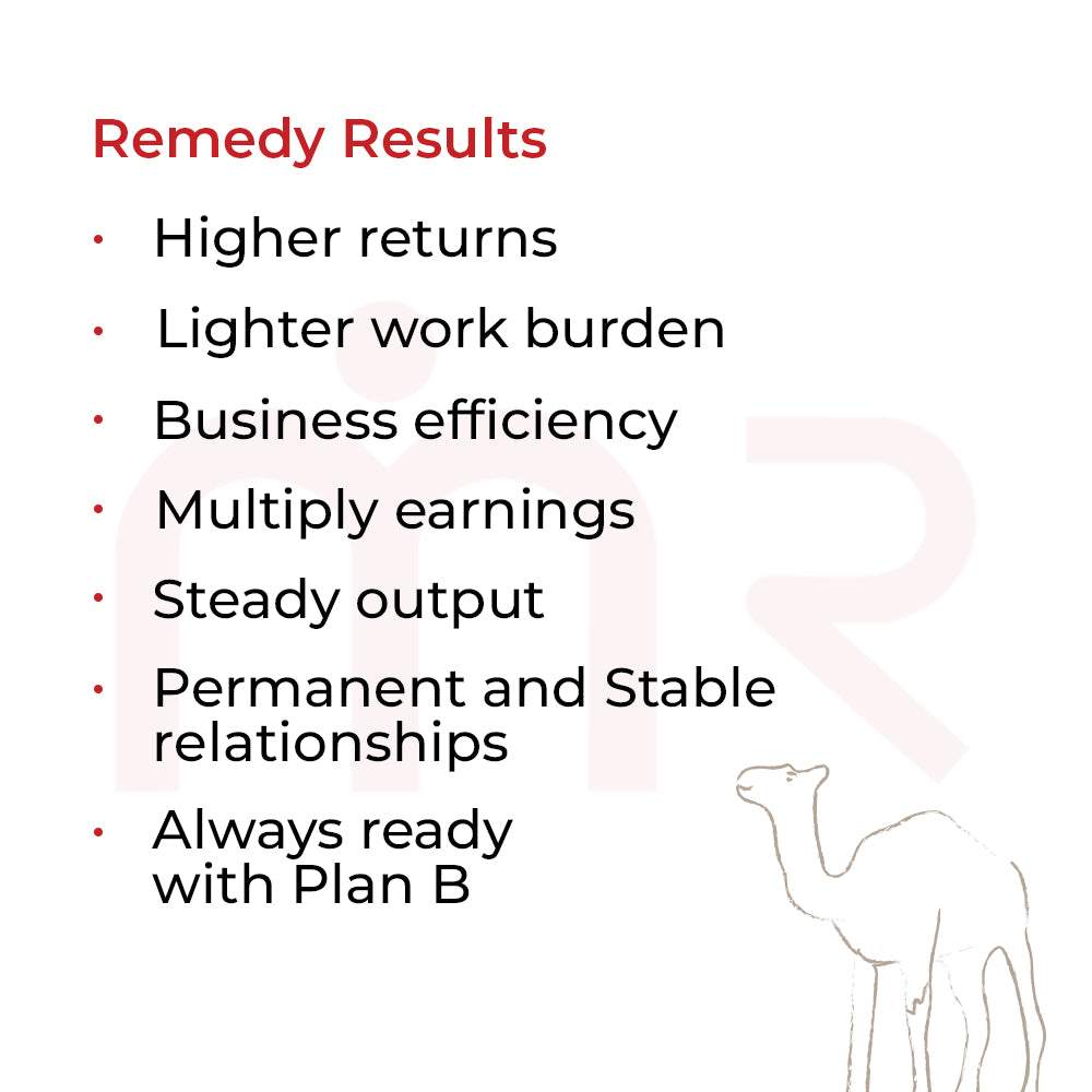 Brass camel figurine for Vastu remedies on table, enhances profits, endurance, stability.