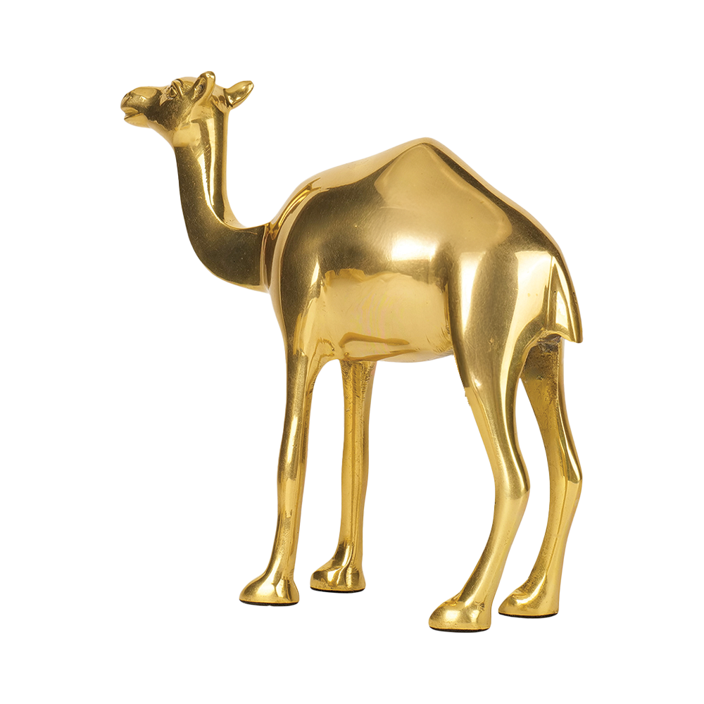 Camel - Multiply Profits & Gains