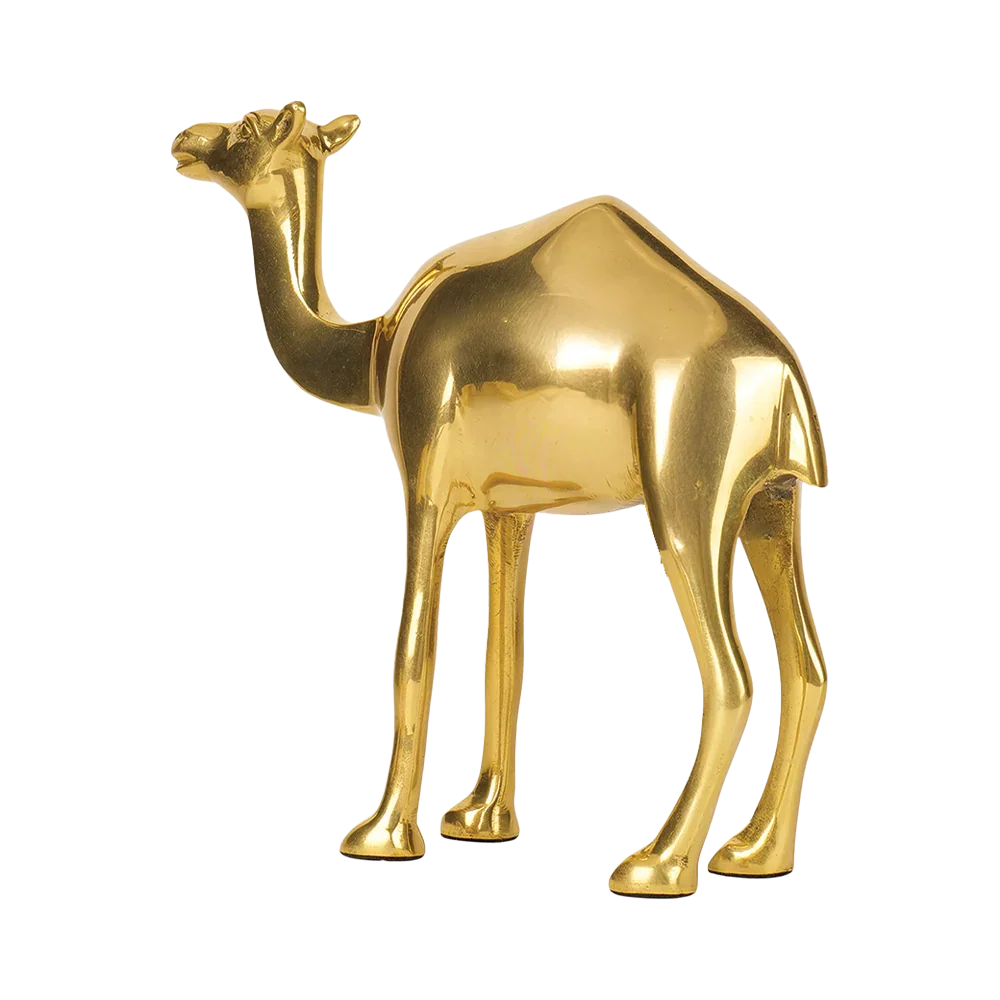 Camel - Multiply Profits & Gains