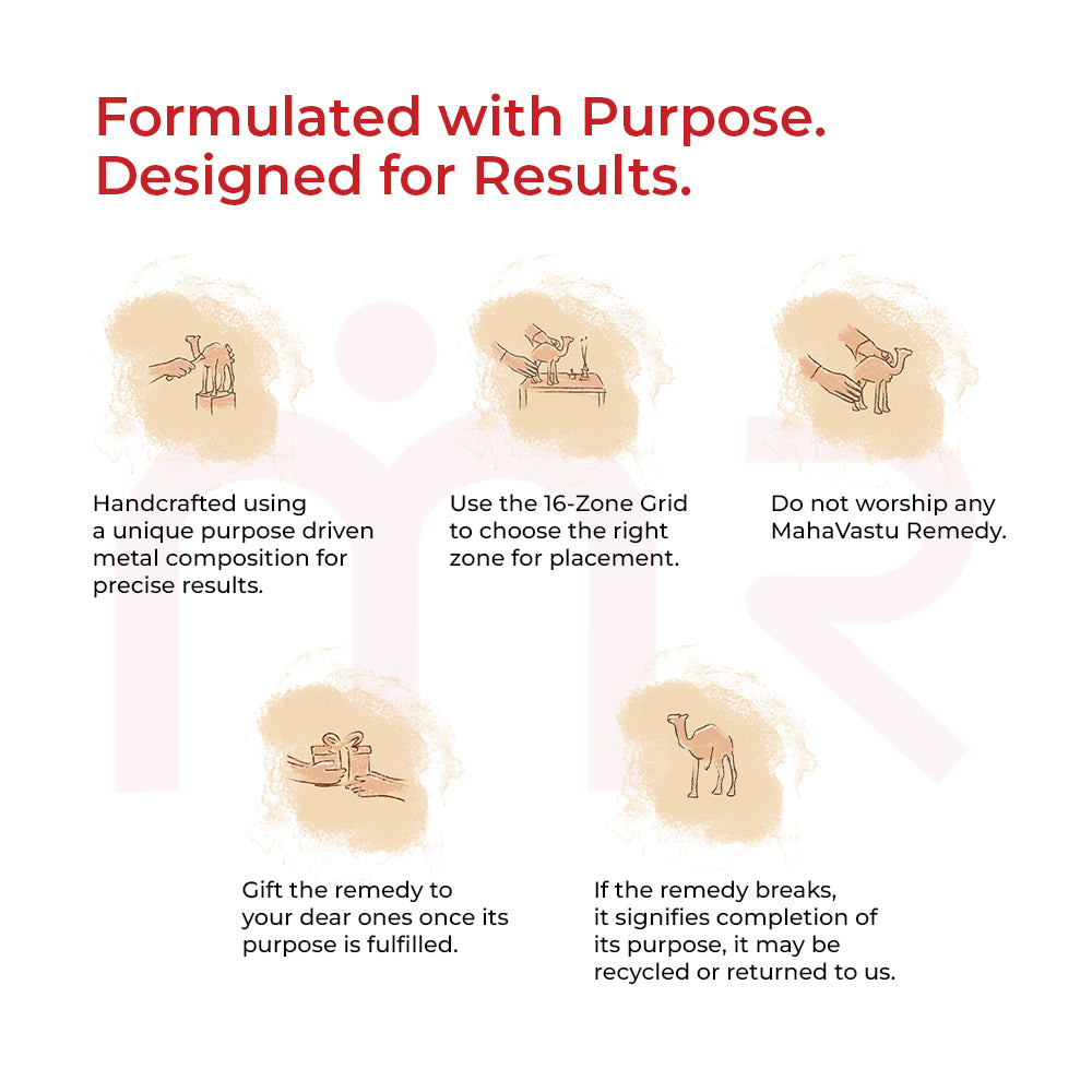 Camel - Earn More With Less Effort