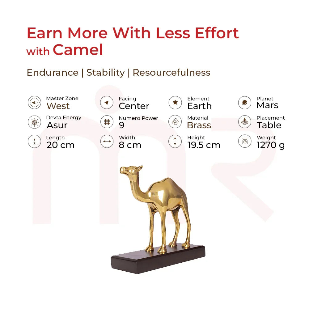 Camel - Earn More With Less Effort