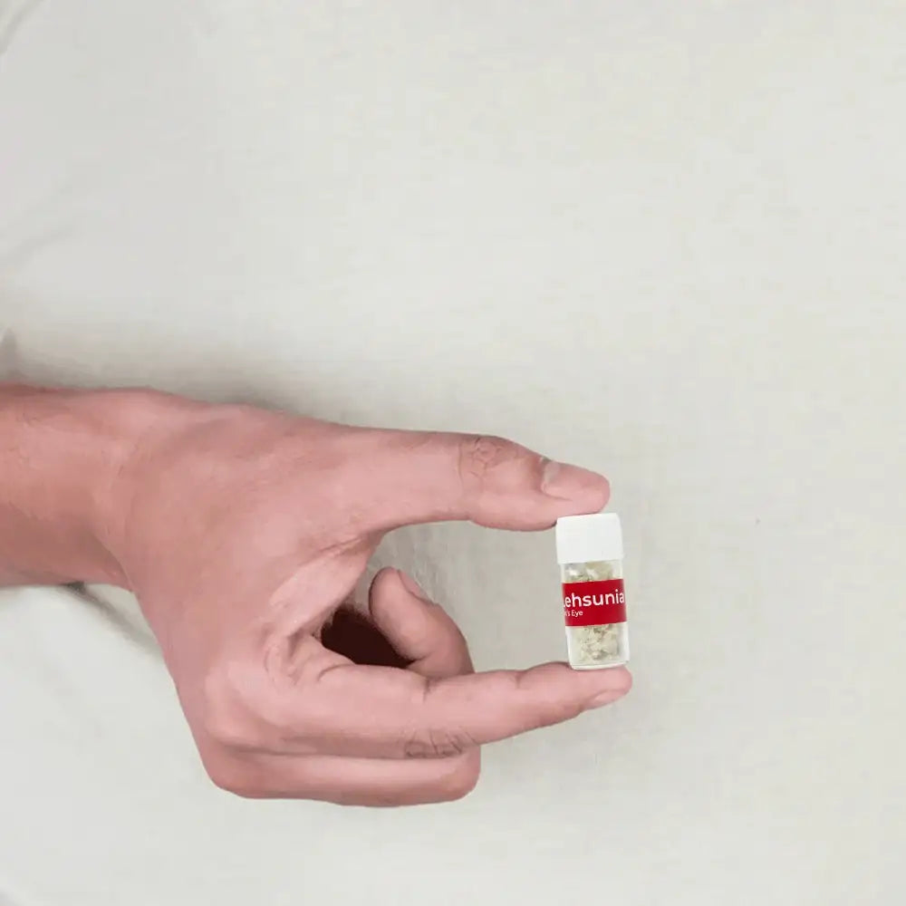 A person holding a small glass vial containing dried Ehsunia herbs for Vastu remedies.