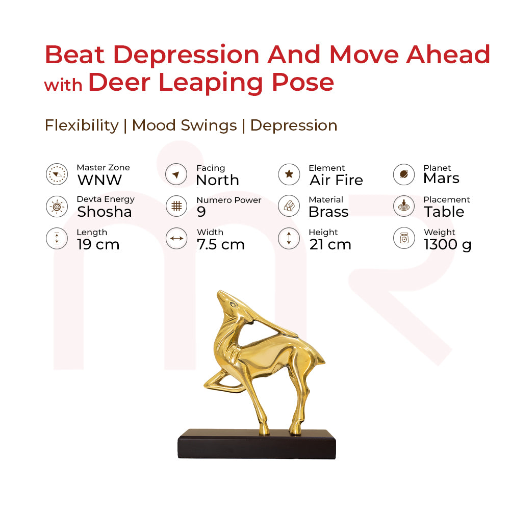 Deer - Beat Depression And Move Ahead