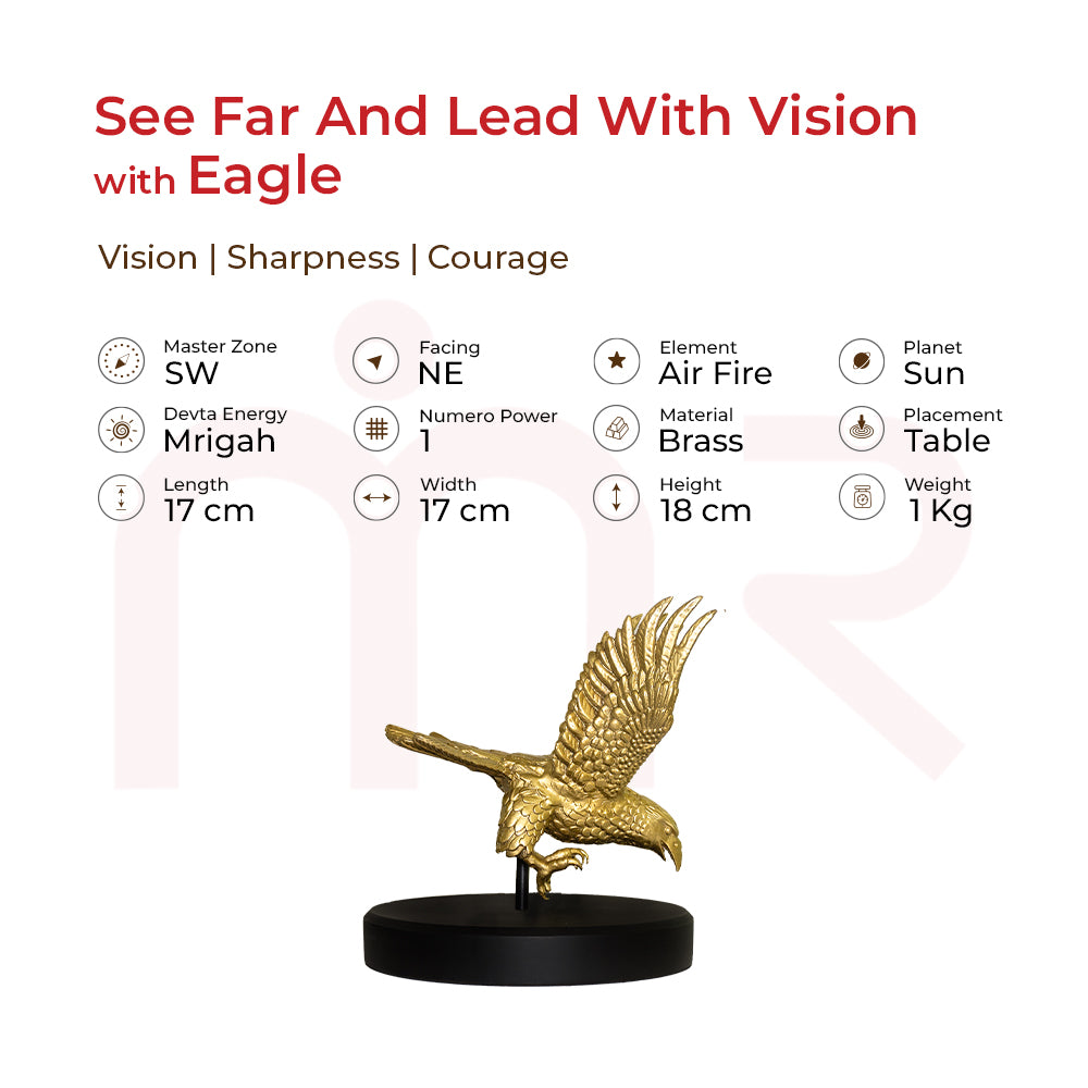 Eagle - See Far And Lead With Vision
