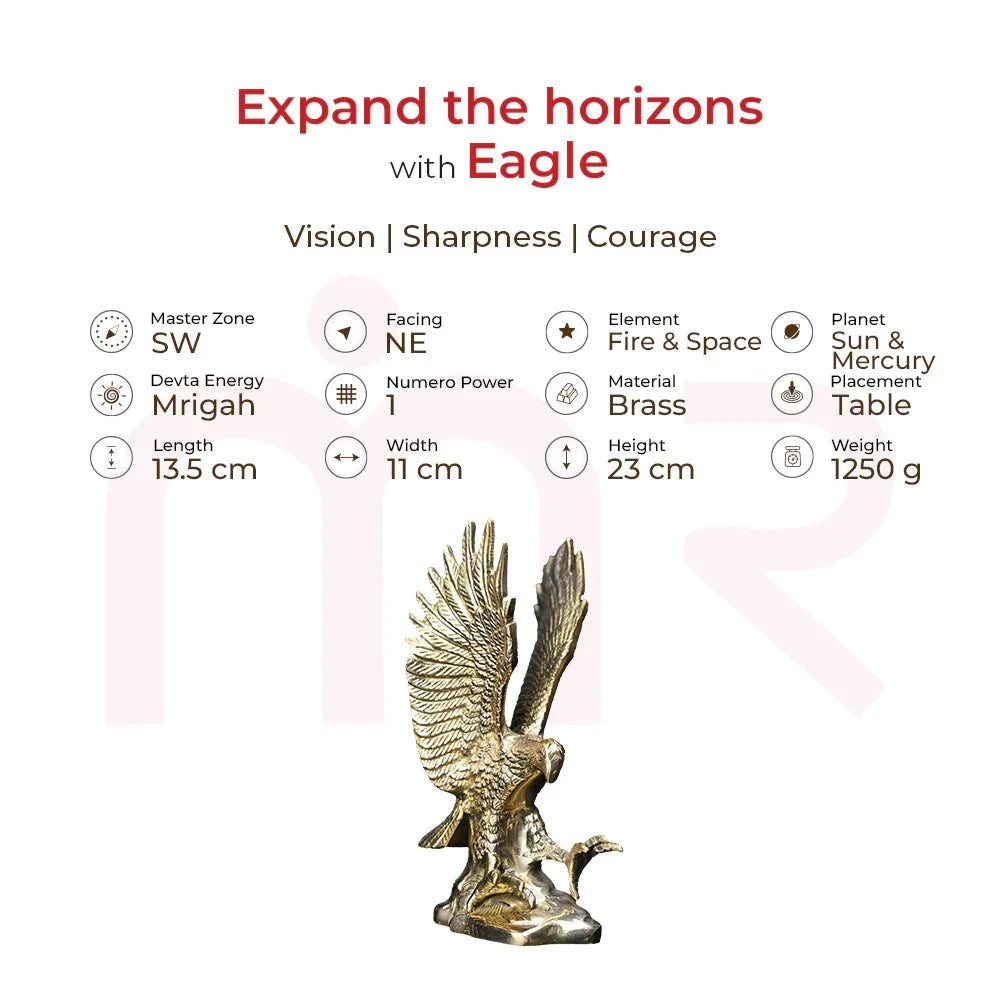 Brass eagle statue Vastu remedy for vision, sharpness, courage, home decor, 23 cm tall.