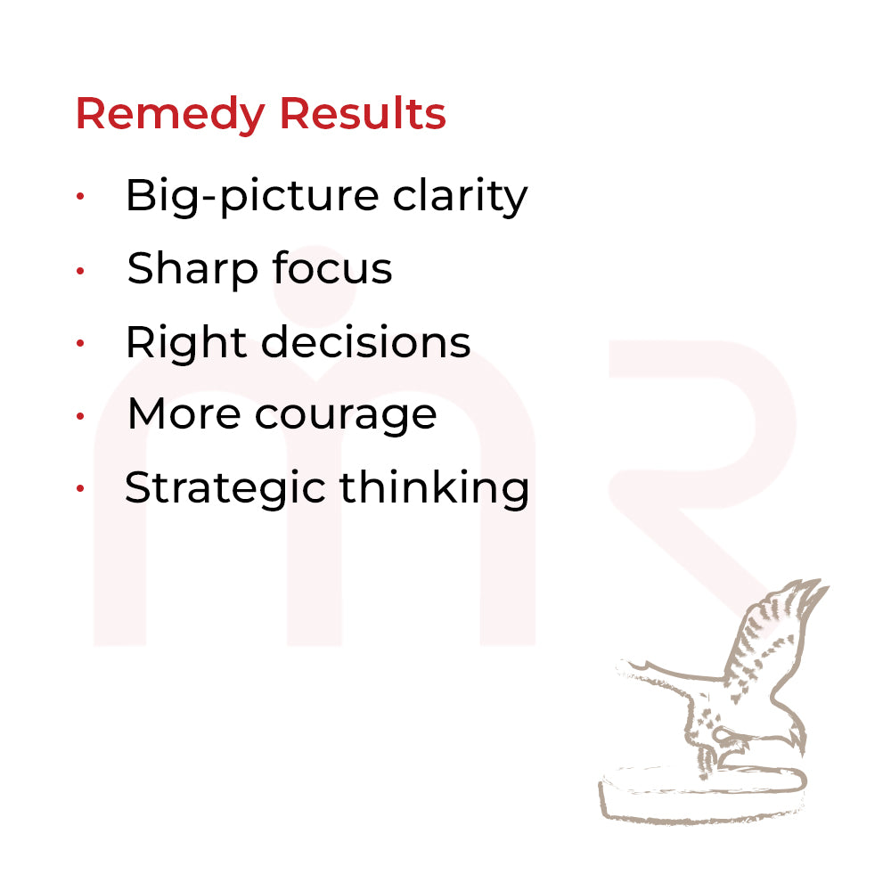 Eagle - See Far And Lead With Vision