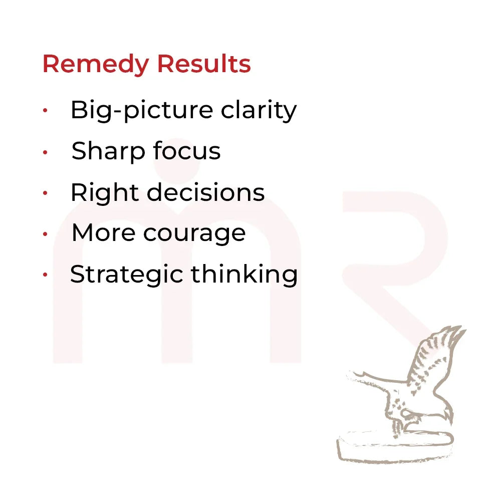 Infographic listing Vastu remedy results: clarity, focus, right decisions, courage, and strategy.