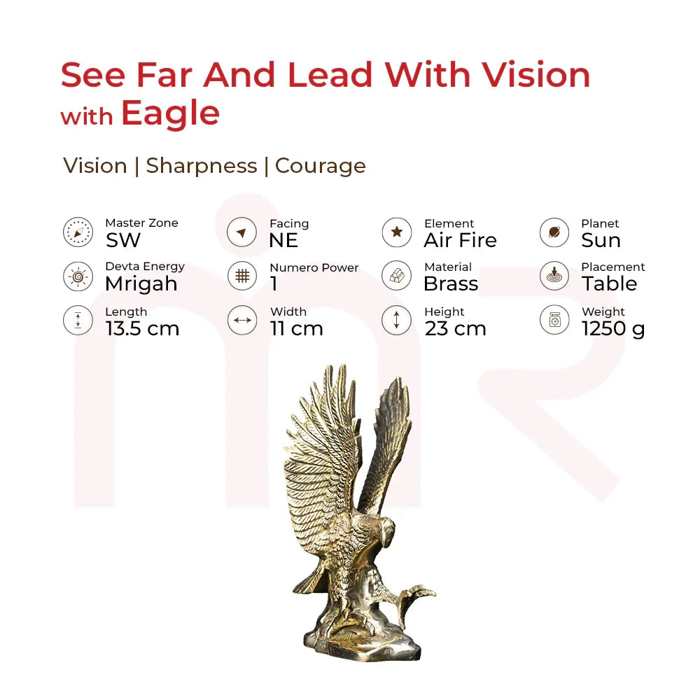 Eagle - See Far And Lead With Vision