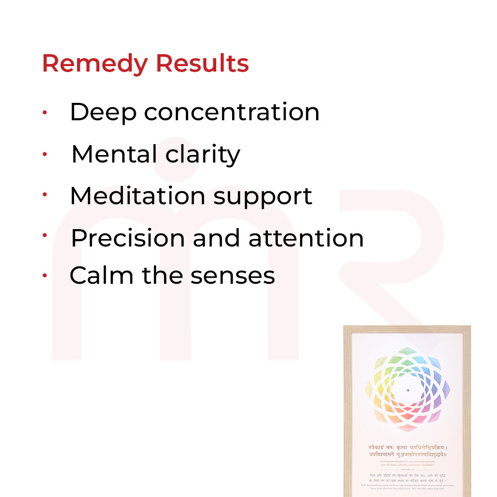 Maha Vastu remedy guide: handcrafted, 16-Zone Grid placement, not for worship, gift after purpose fulfilled, recycle if broken