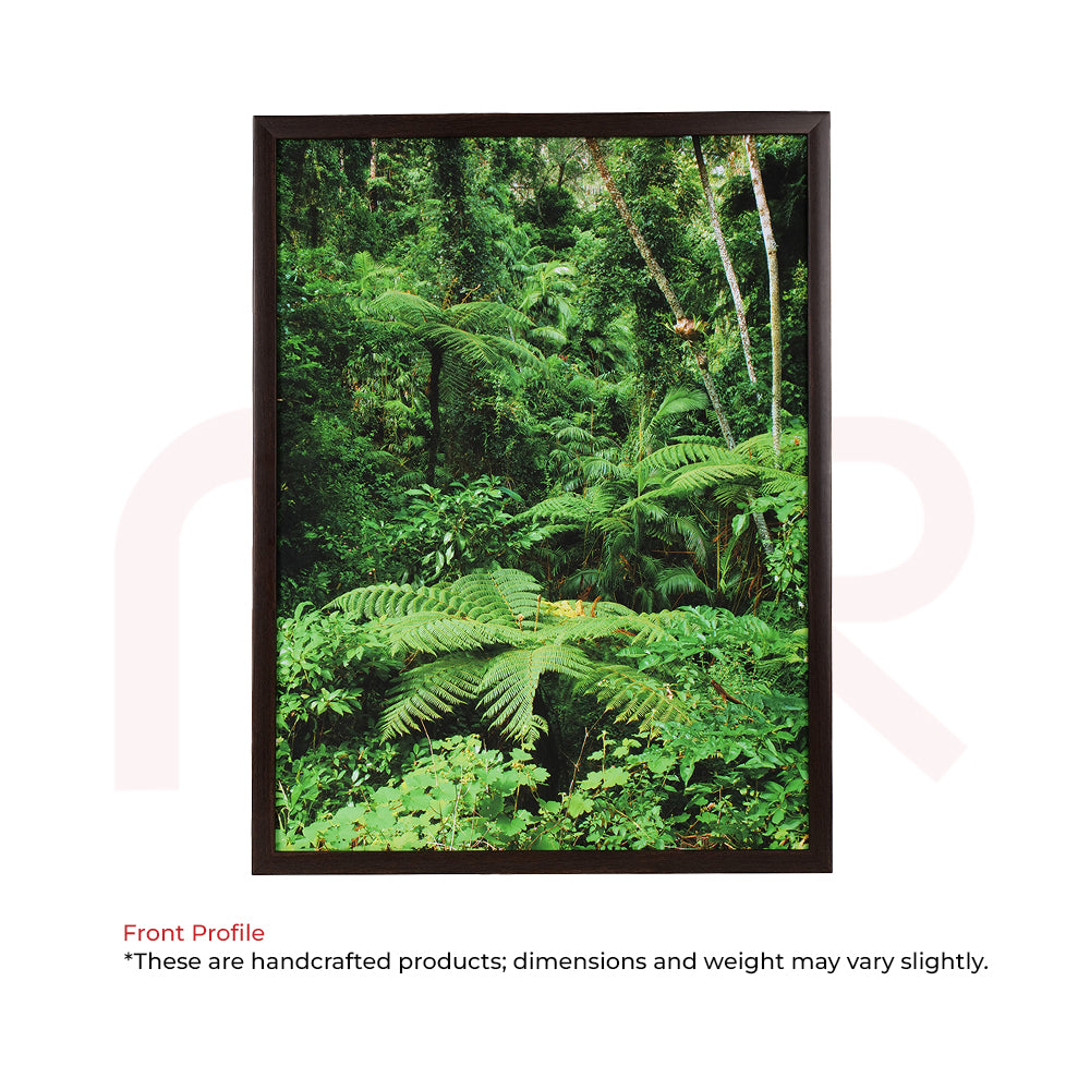 Framed jungle forest wall art with lush green ferns, ideal for Vastu Shastra home decor and positive energy.