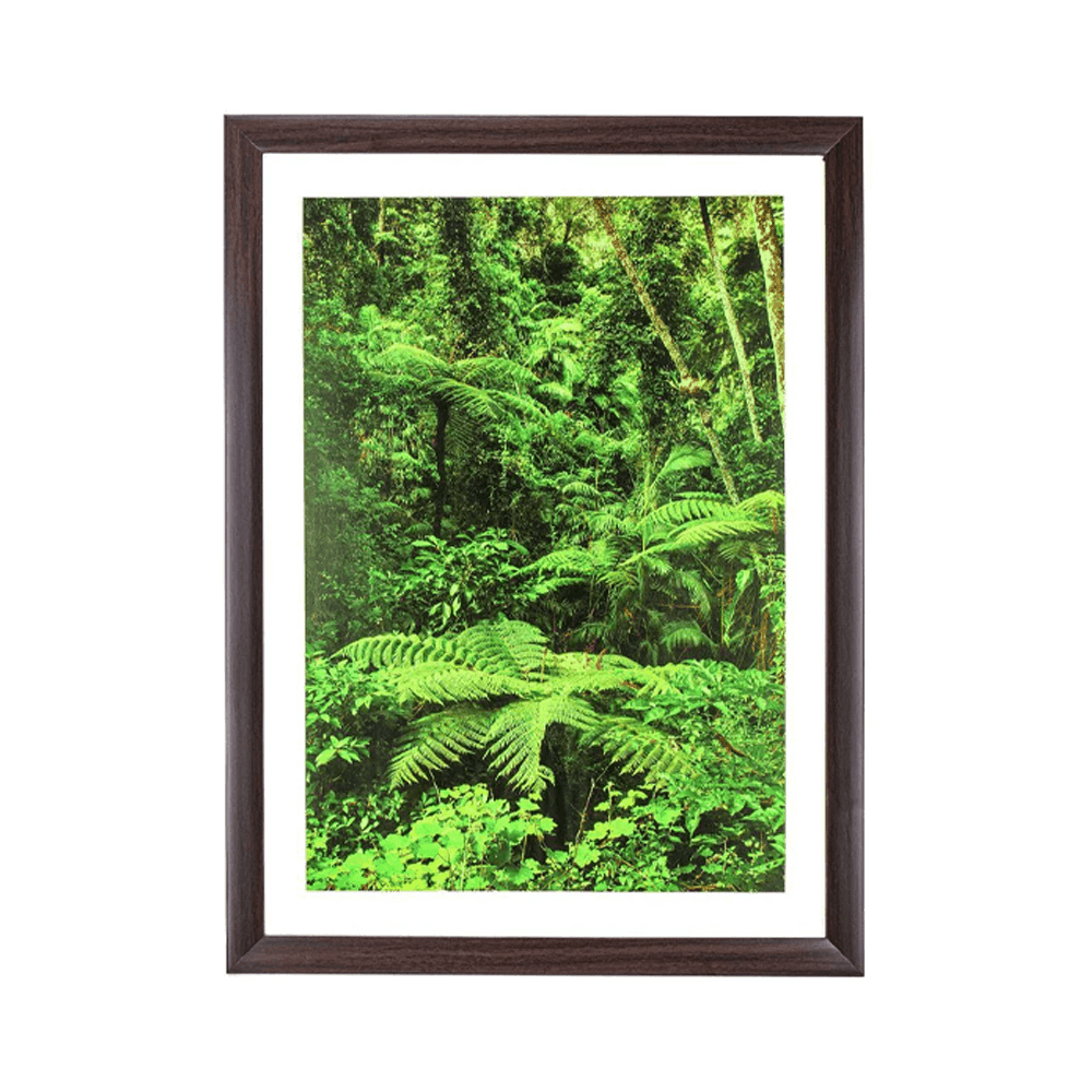 Green Scene - Creates New Opportunities - MahaVastu Remedies