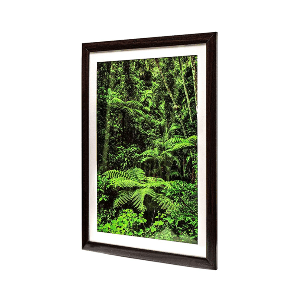 Green Scene - Creates New Opportunities - MahaVastu Remedies