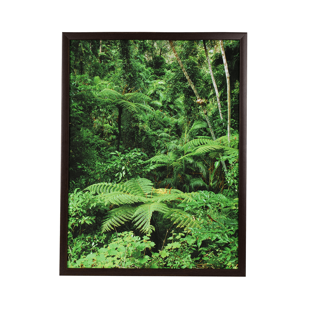 Green Scene - Creates New Opportunities - MahaVastu Remedies