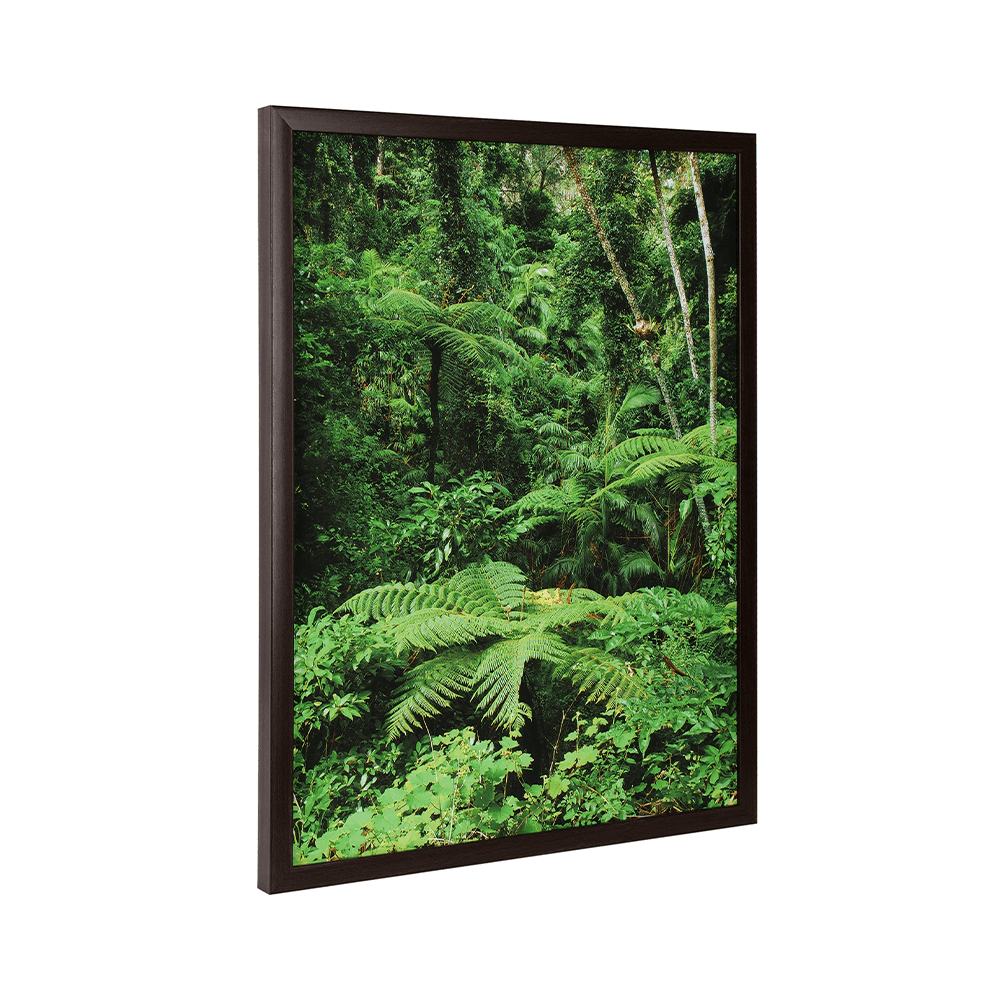 Green Scene - Creates New Opportunities - MahaVastu Remedies