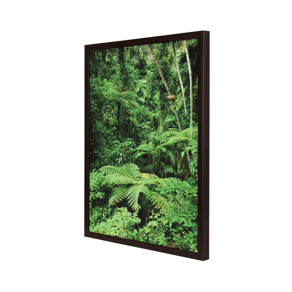 Green Scene - Creates New Opportunities - MahaVastu Remedies