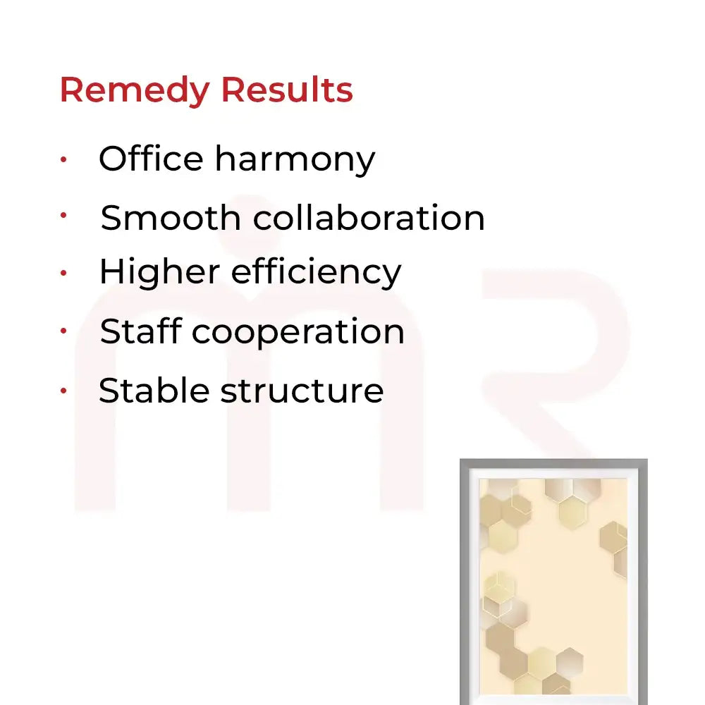Maha Vastu remedy guide: handcrafted, 16-Zone Grid placement, gifting, and purpose completion instructions
