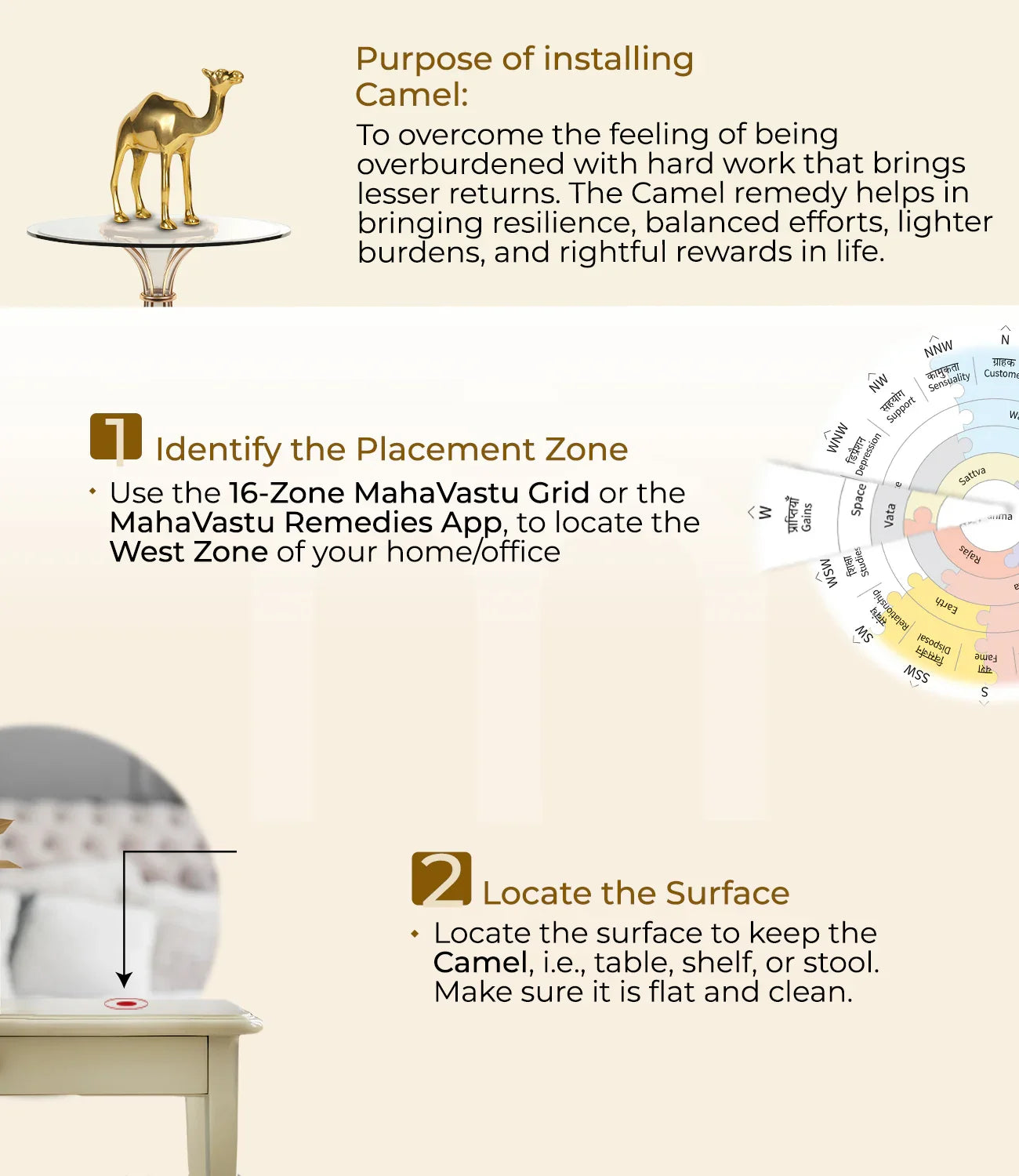 Camel Vastu remedy installation steps with gold camel idol, Vastu grid, and placement instructions
