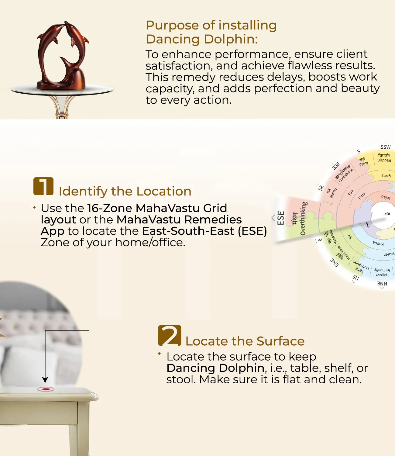 Dancing Dolphin MahaVastu remedy installation steps with idol, zone chart, and table placement guide