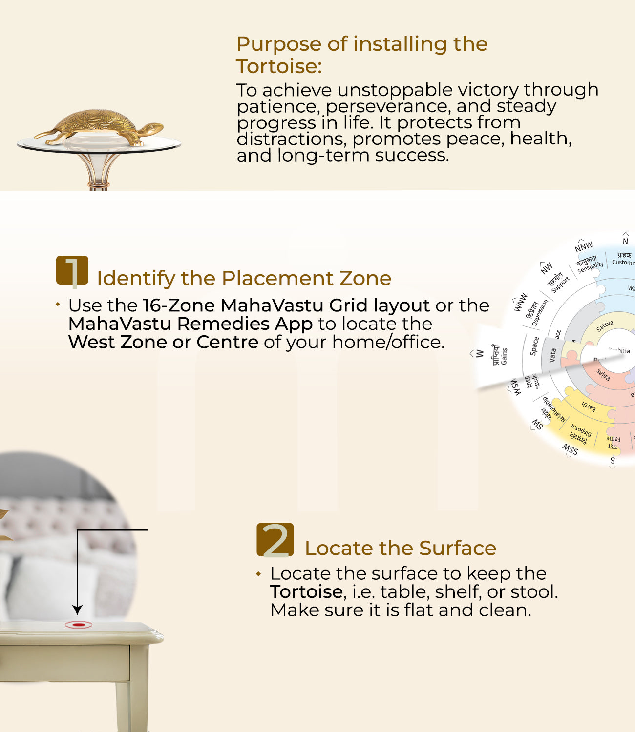 MahaVastu tortoise installation guide with placement steps and grid layout for vastu remedy