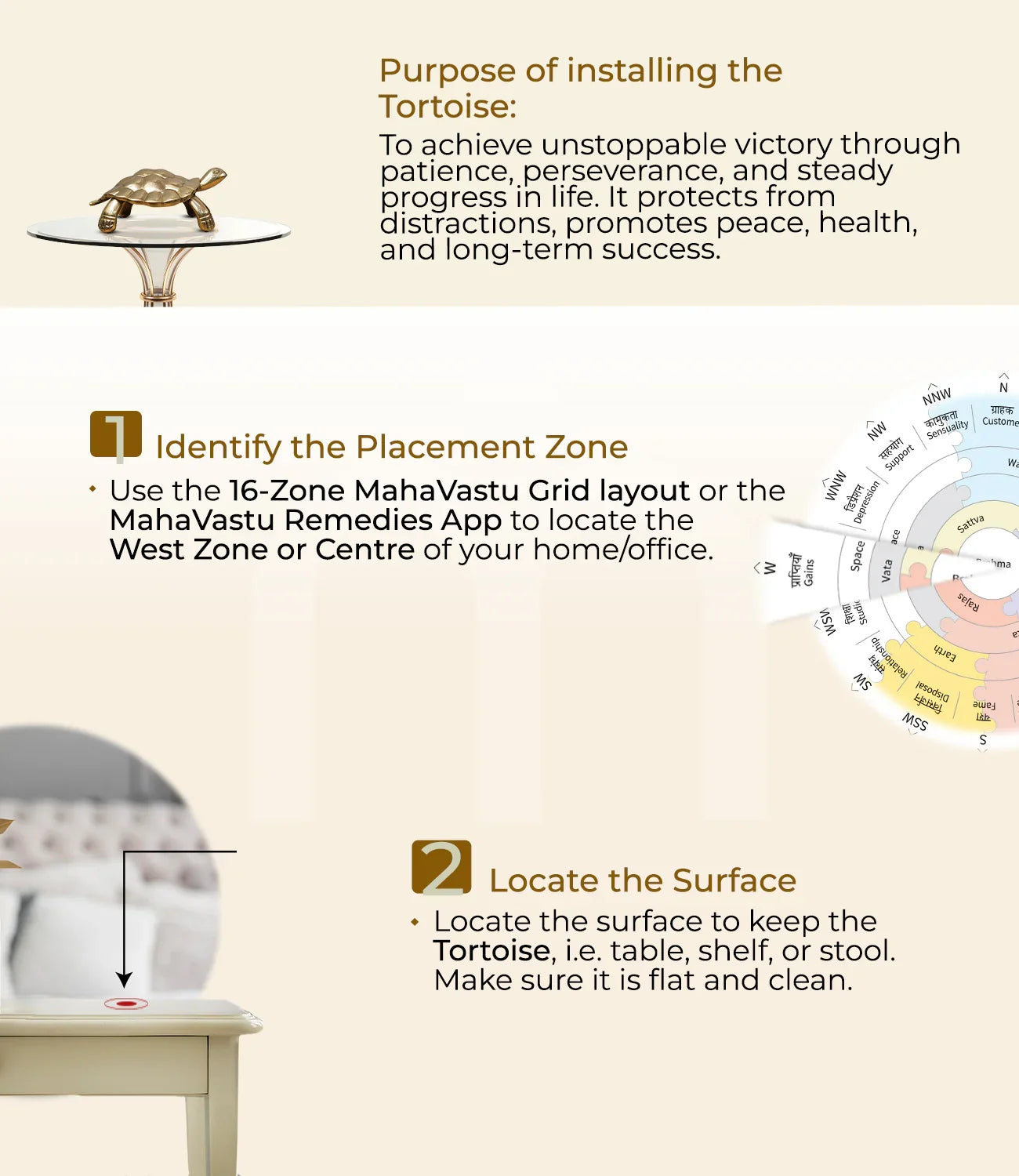 MahaVastu tortoise installation guide with placement steps and grid layout for vastu remedy