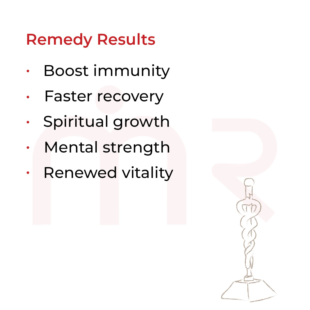 Maha Vastu remedy usage guide with illustrations and placement instructions for optimal results.